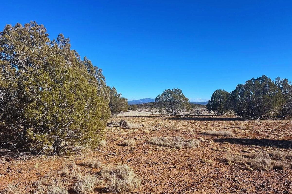 Triangle 2 - 4818 W ANITA CT WILLIAMS, AZ 86046