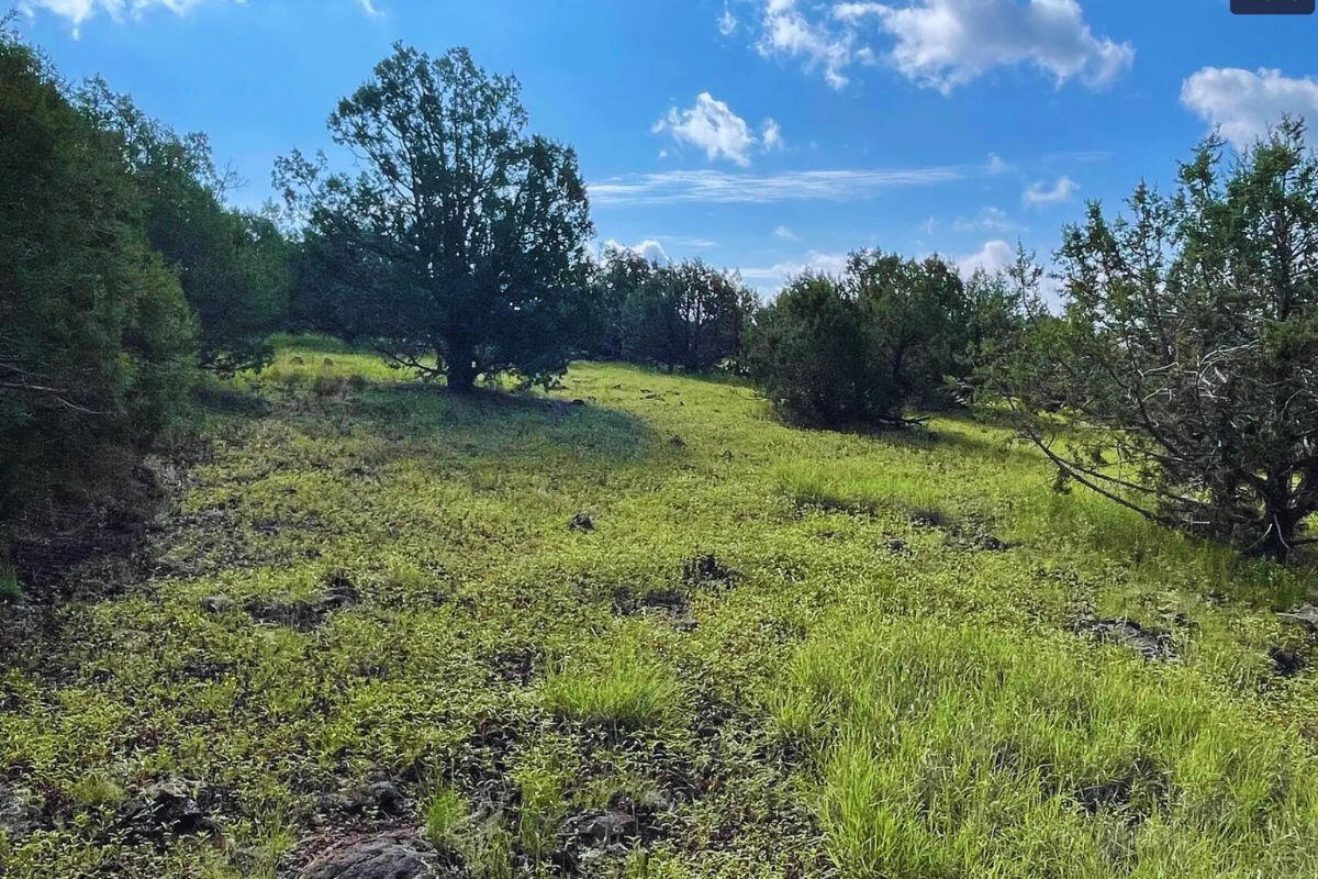 Triangle 1 - 4819 W ANITA CT WILLIAMS, AZ 86046