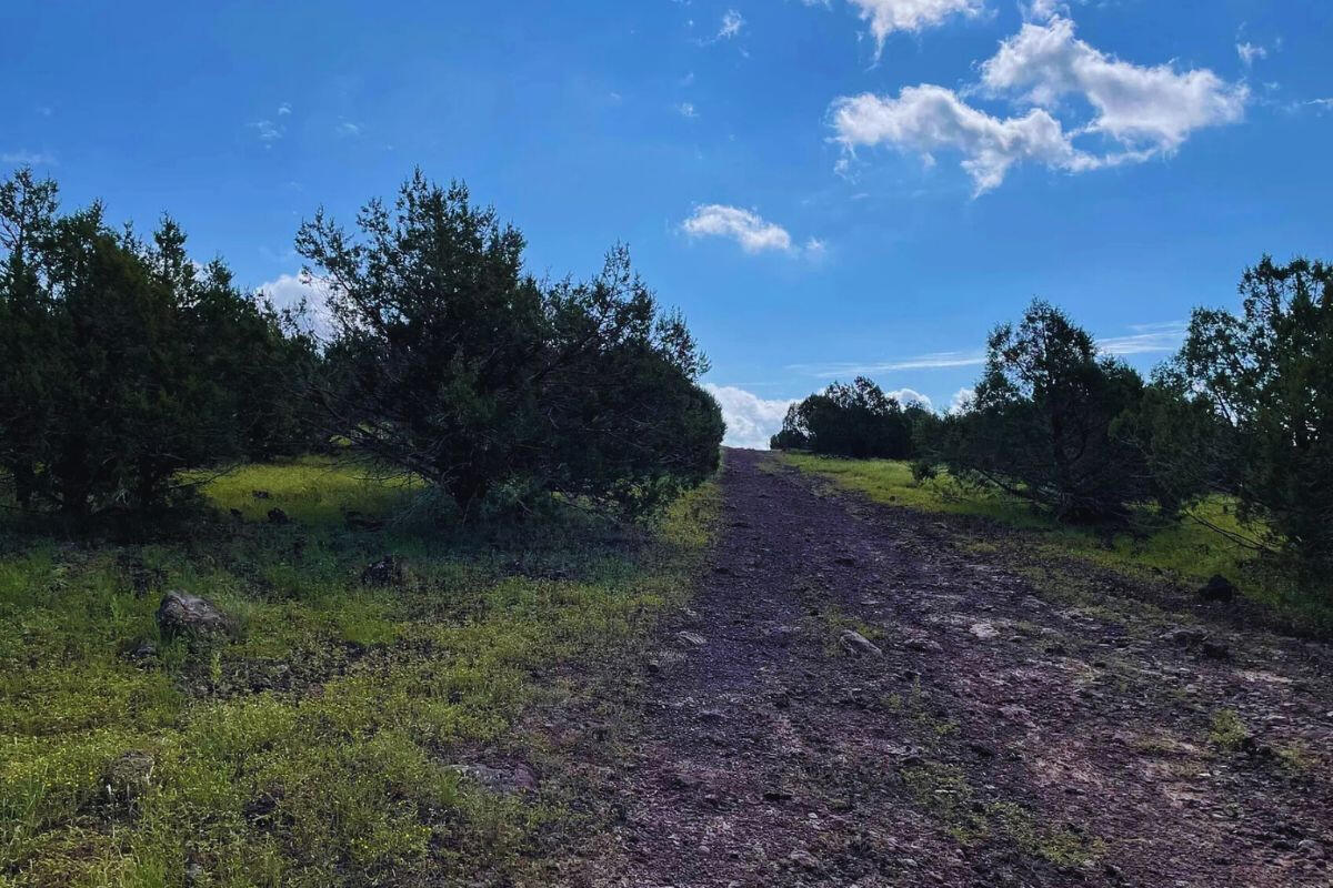 Triangle 2 - 4818 W ANITA CT WILLIAMS, AZ 86046