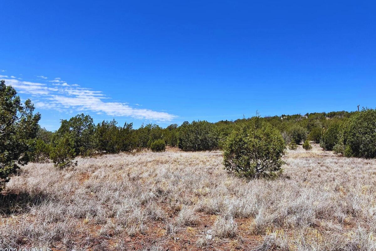 Triangle 2 - 4818 W ANITA CT WILLIAMS, AZ 86046