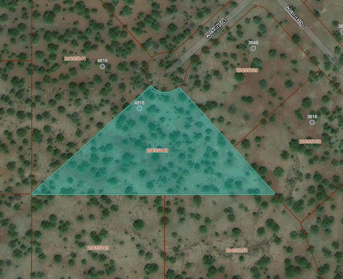 Triangle 2 - 4818 W ANITA CT WILLIAMS, AZ 86046