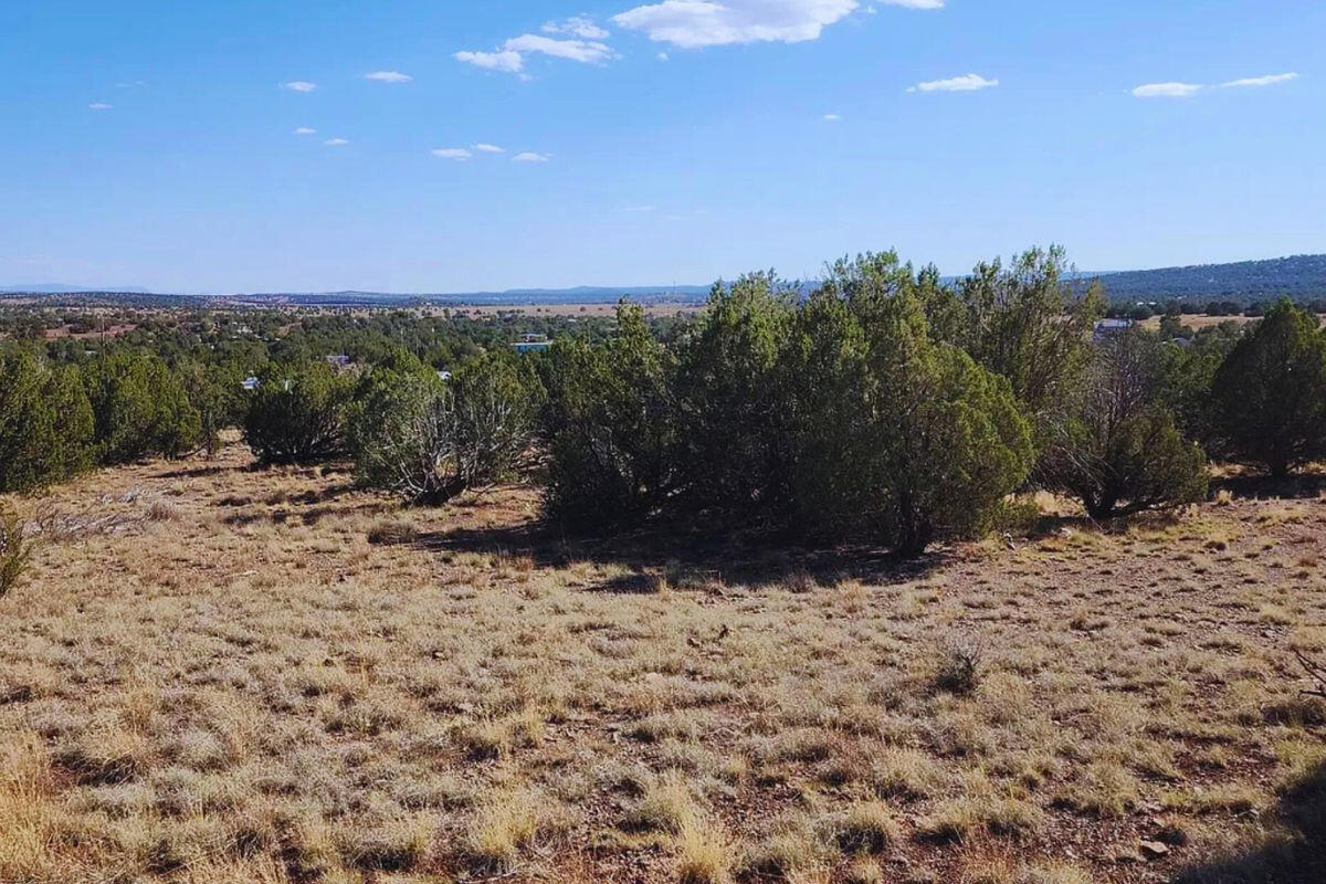 Triangle 2 - 4818 W ANITA CT WILLIAMS, AZ 86046