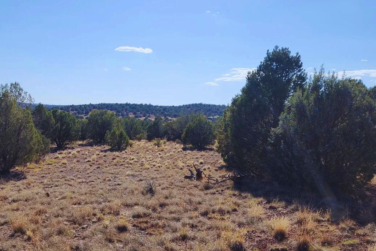 Triangle 2 - 4818 W ANITA CT WILLIAMS, AZ 86046