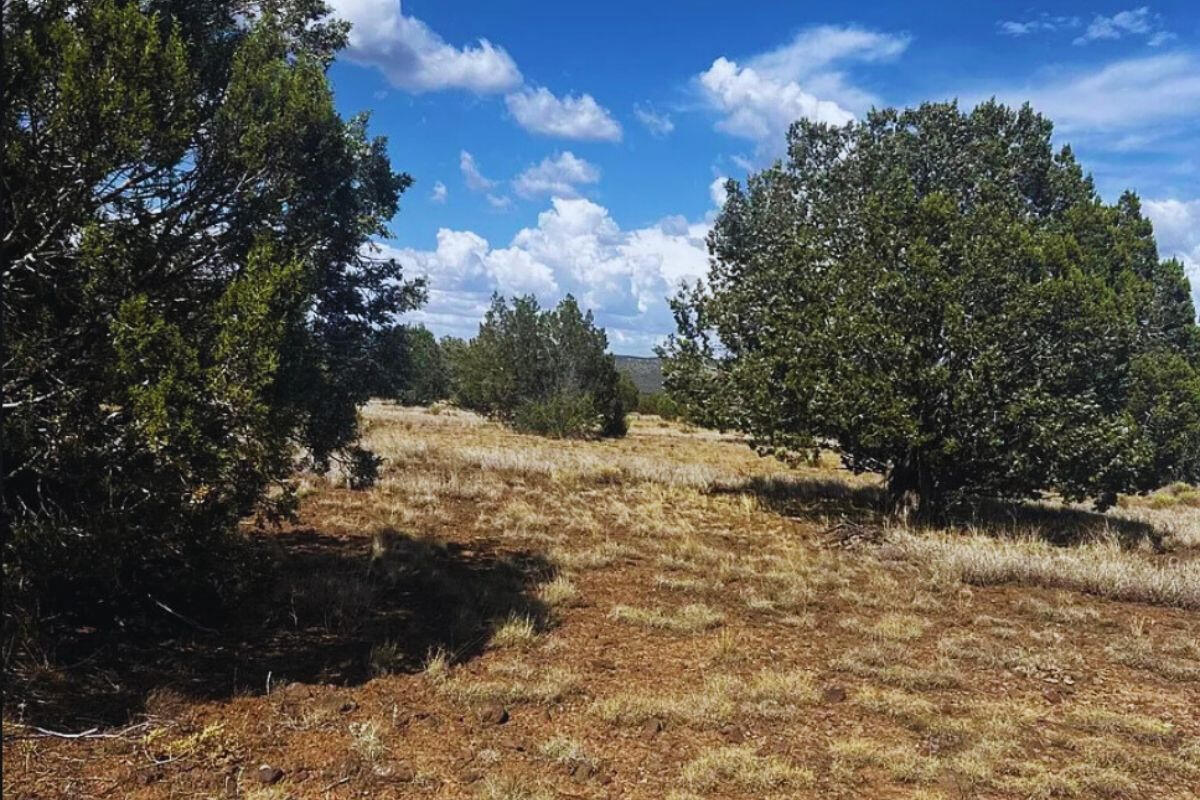 Triangle 2 - 4818 W ANITA CT WILLIAMS, AZ 86046